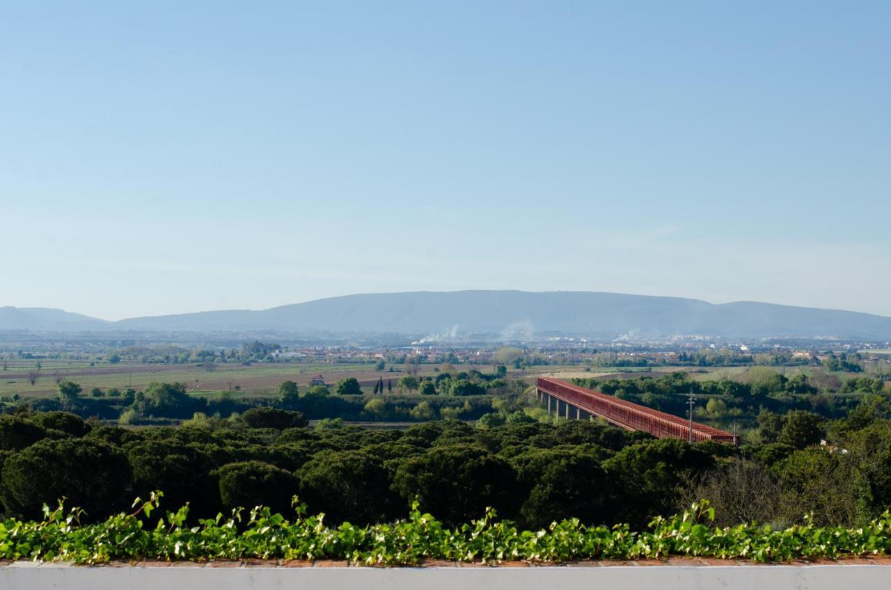 Convento Inn And Artists Residency Chamusca  ภายนอก รูปภาพ